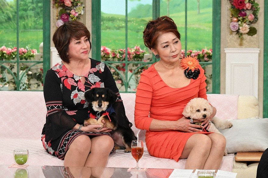 テレ朝post 東てる美 渡部絵美 お互い離婚を経験 骨折 がんも 女の友情 で支え合う