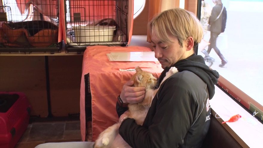 最愛の猫を亡くした夫婦が新しい家族に出会った“ネコのバス”「ひとつでも多くの命を救いたい」
