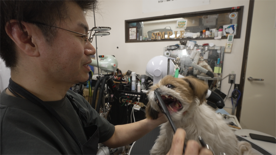 問題犬の心を開かせる“日本一優しい”トリミングサロン。1匹1匹と信頼関係を築く方法に「すごいな」