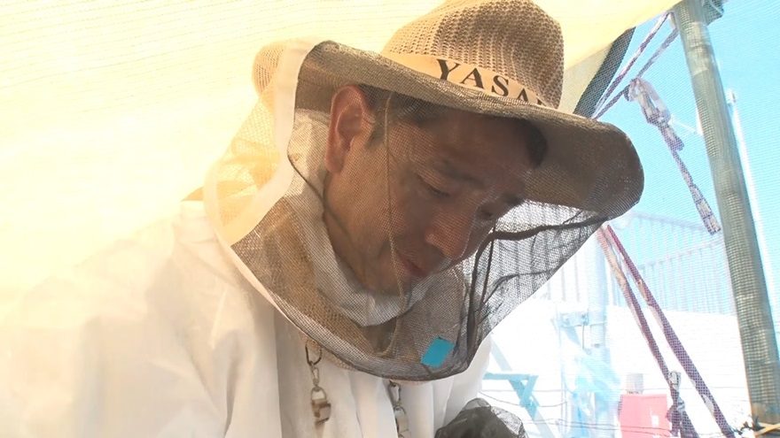 自由が丘のビルの屋上で“ミツバチ”を育てる男性　集めたはちみつは…