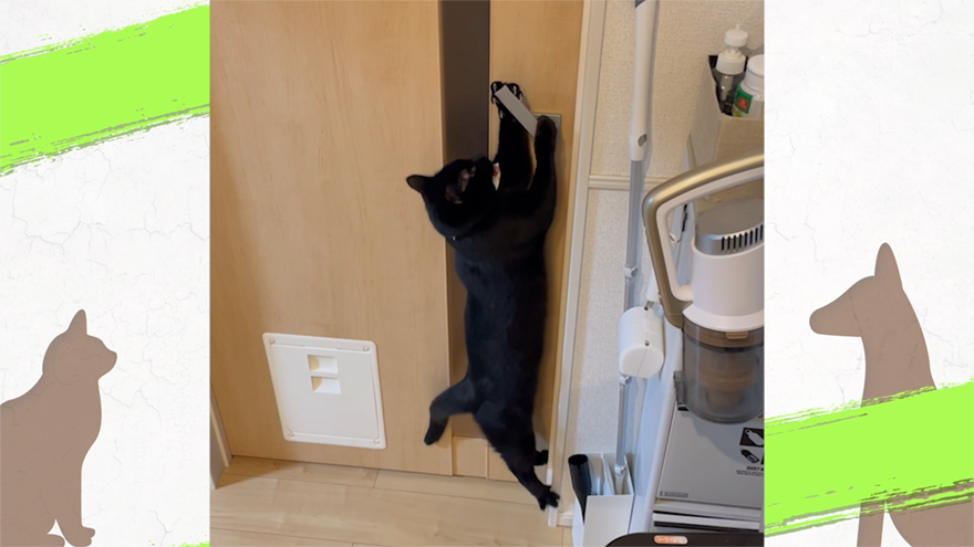 「頭いい~」いとも簡単にドアを開けてしまうネコいぬたち!巧妙な手口の数々に驚き