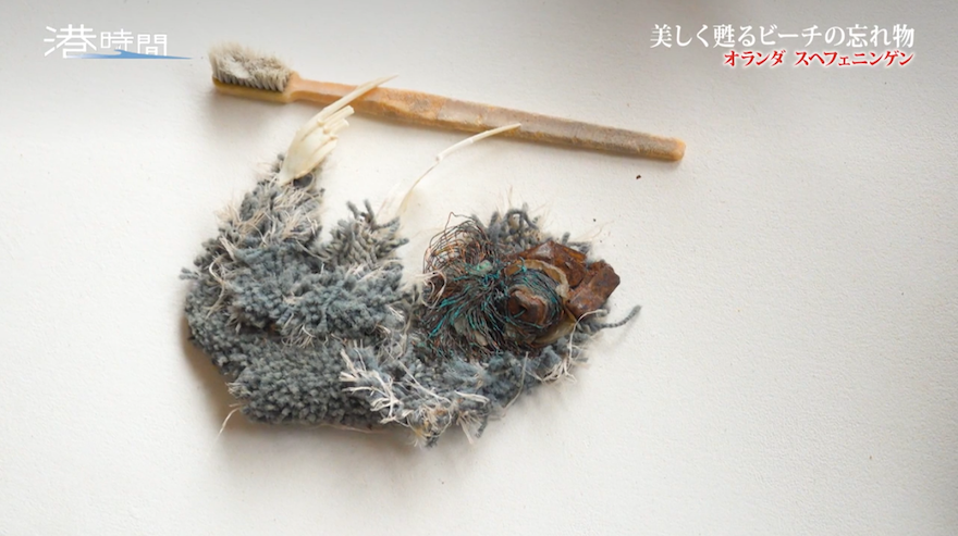 カーペットとフォークが人気動物に大変身!プラスチックごみに新たな命を吹き込むアーティスト