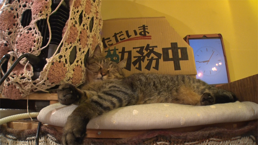 BS朝日,番組情報