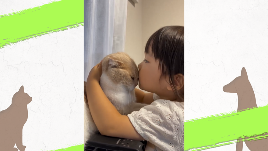 ネコを愛しすぎて365日愛情表現が止まらない女の子!スタジオも思わず笑顔になる“最強コラボ”