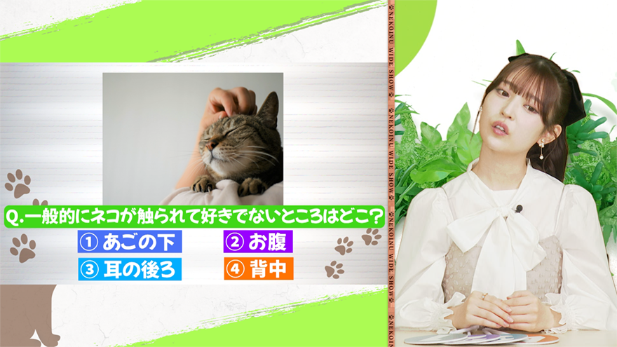 ネコ好き必見!3万人以上が受験した「ねこ検定」から知れば知るほどためになる“ネコ問題”に挑戦